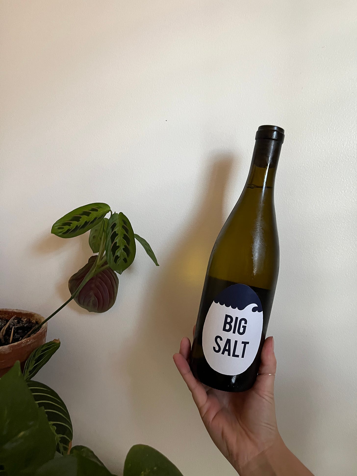 Ovum big salt wine review natural wine recommendations by food and travel writer Courtney Jill Bishop. 