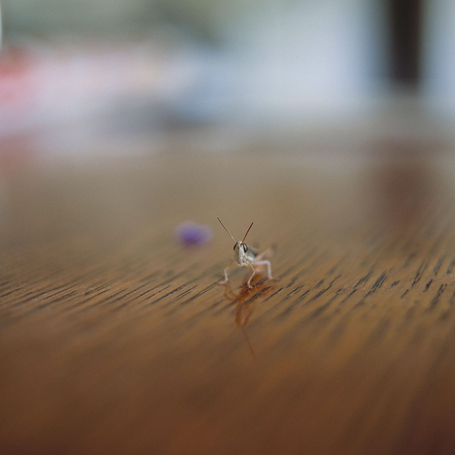 How to embrace uncertainty | Psyche Guides