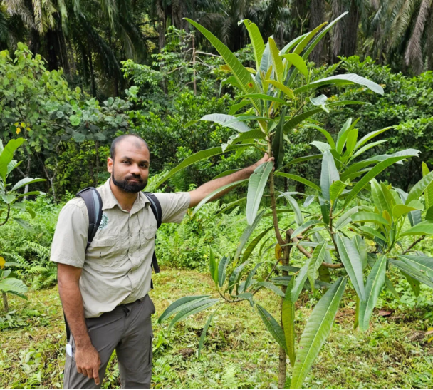 Conservationist and avid fig planter Shavez Cheema stands next to a Ficus callosa tree which grows in an oil palm plantation buffer zone in Malaysian Borneo.