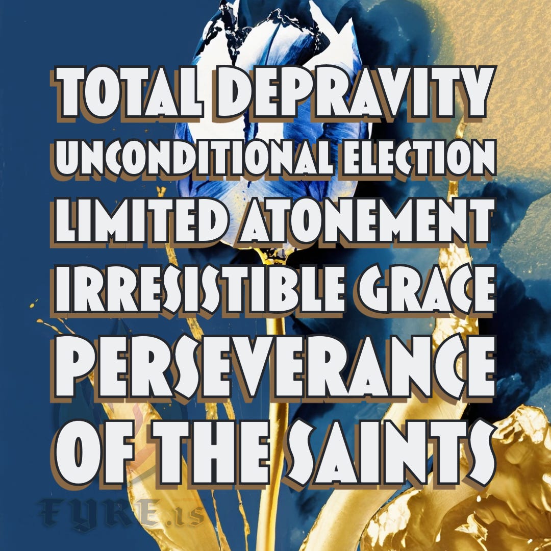 Doctrines of Grace: Total Depravity, Unconditional Election, Limited Atonement, Irresistible Grace, Perseverance of the Saints 