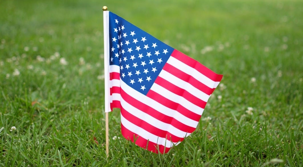 USA flag on green grass