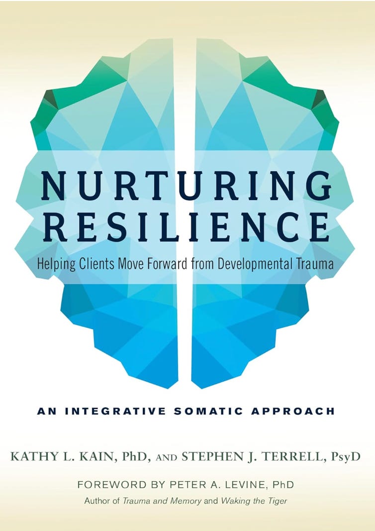 Book Cover: Nurturing Resilience