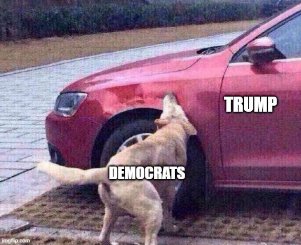 Dog catches car | TRUMP; DEMOCRATS | image tagged in dog catches car | made w/ Imgflip meme maker