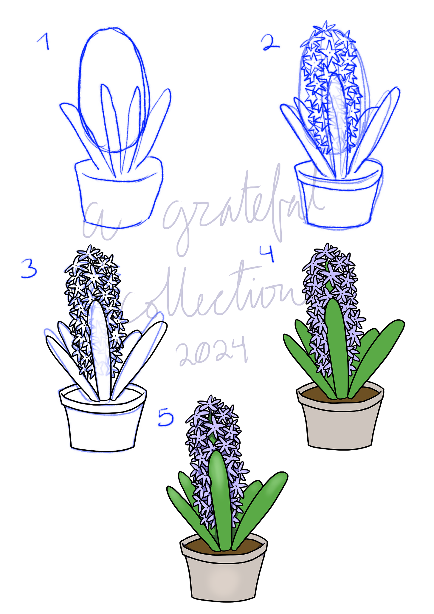 How to draw a hyacinth in 5 steps!