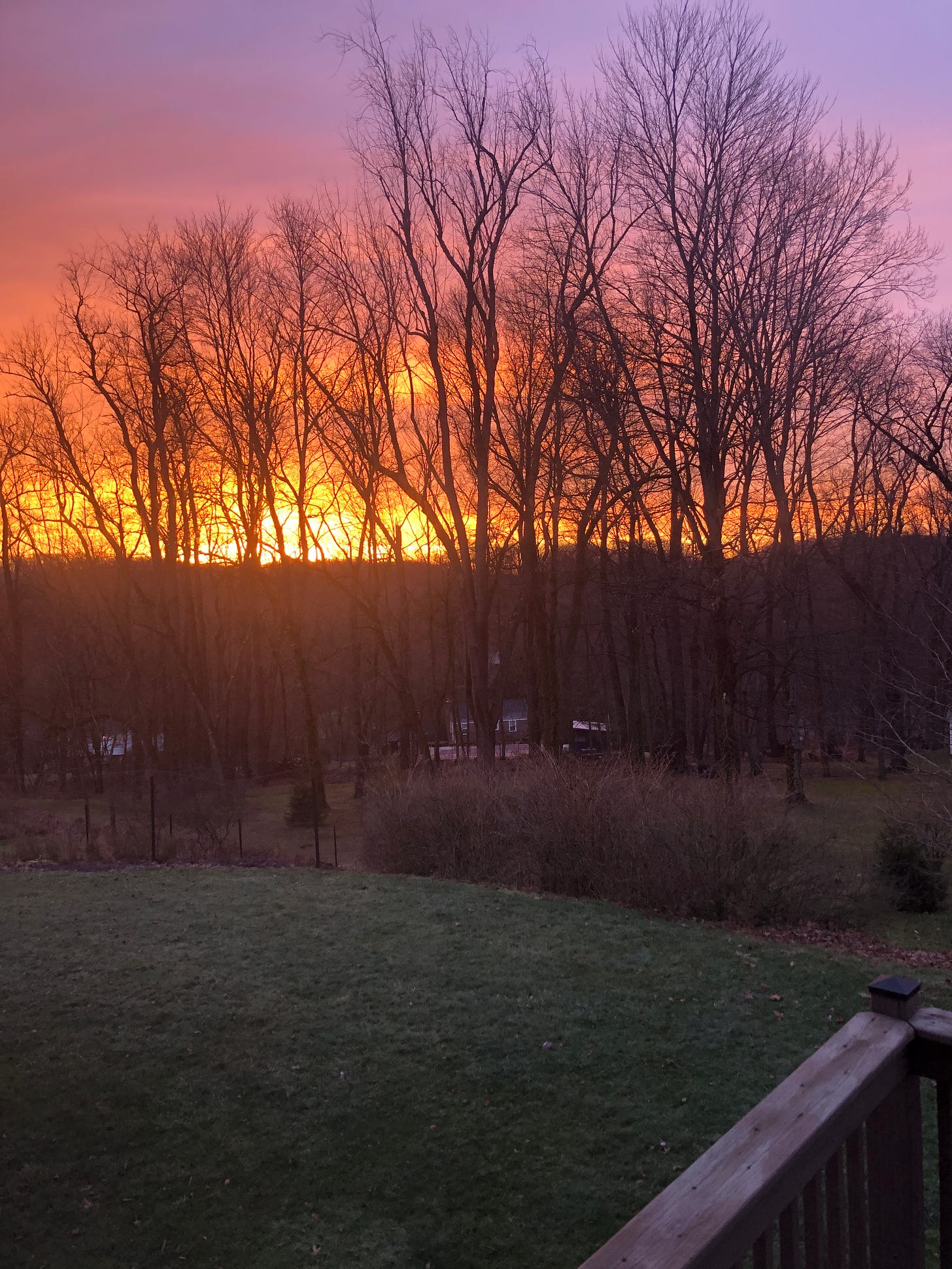 sunrise viewed through trees barren of leaves across a backyard