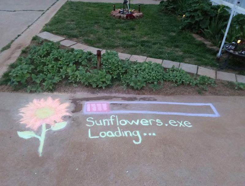 My friend did this so her neighbors won't think they're weeds