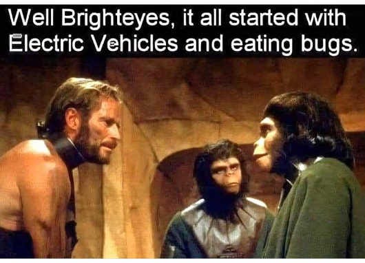 brighteyes planet of the apes started with electric vehicles and eating bugs