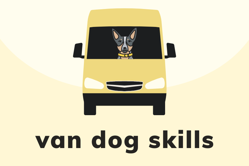 A graphic illustration shows a blue heeler cartoon in the front seat of a yellow campervan above black text saying van dog skills all atop a pale yellow background