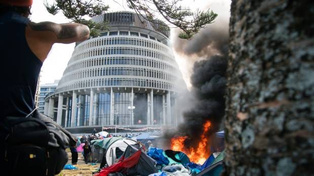Several fires were set alight at Parliament grounds.