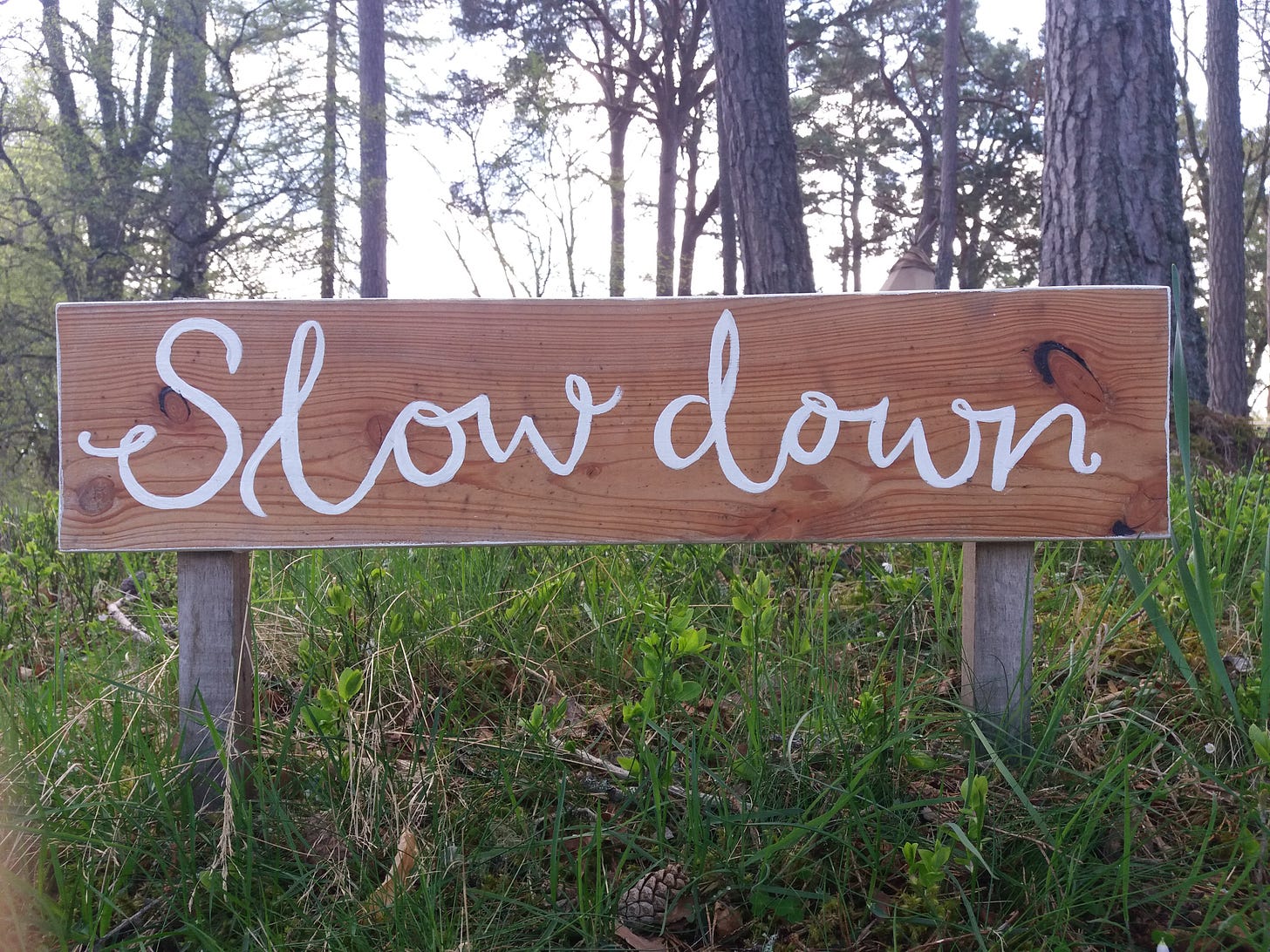 A sign saying 'Slow Down' in a wooded area