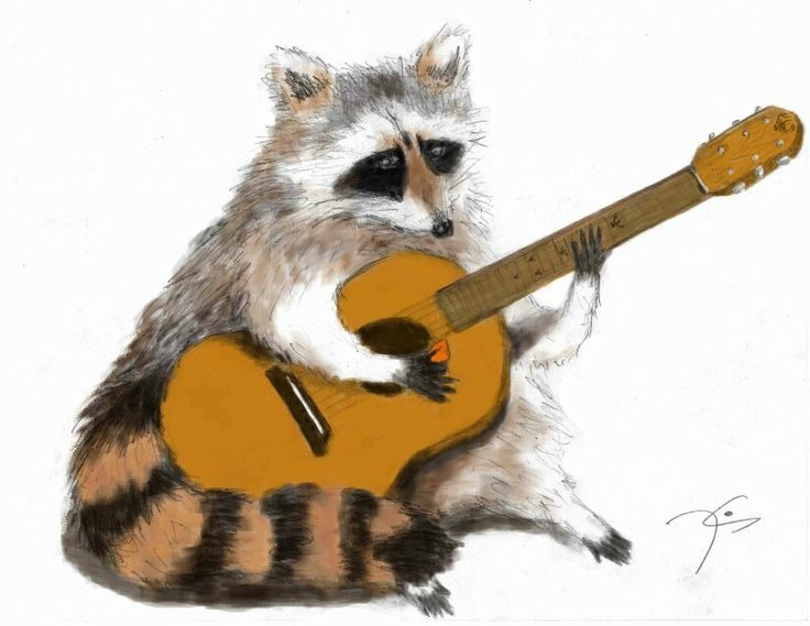 Slow Country