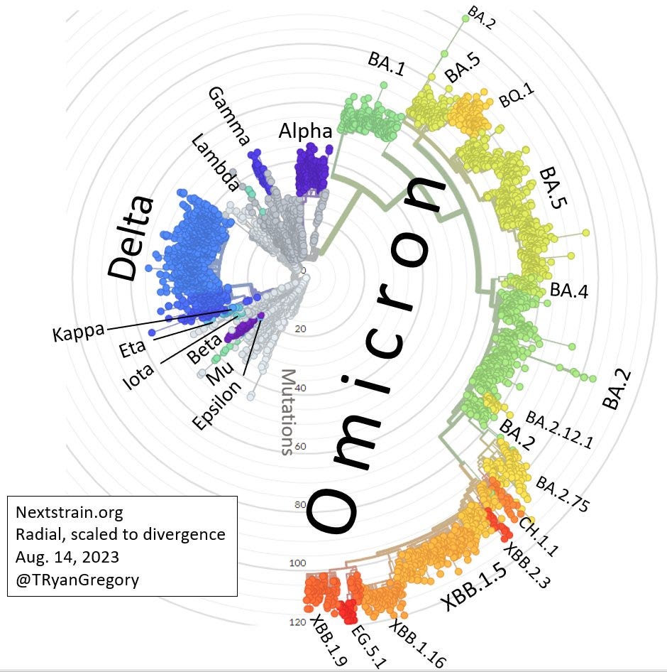 Phylogeny of SARS-CoV-2 variants with labels for Greek letters and "Omicron" variants. 