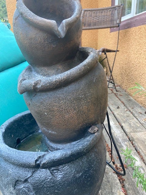 tiny frog on the edge of a patio fountain