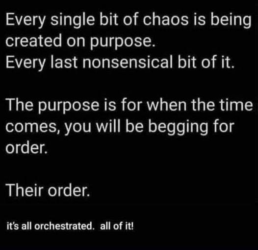 May be an image of text that says 'Every single bit of chaos is being created on purpose. Every last last nonsensical bit of it. The purpose is for when the time comes, you will be begging for order. Their order. it's all orchestrated. allofit! it!'