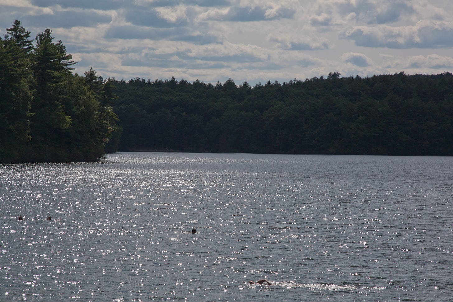 Sunlight shining on Walden Pond. A few swimmers are visible in the water.