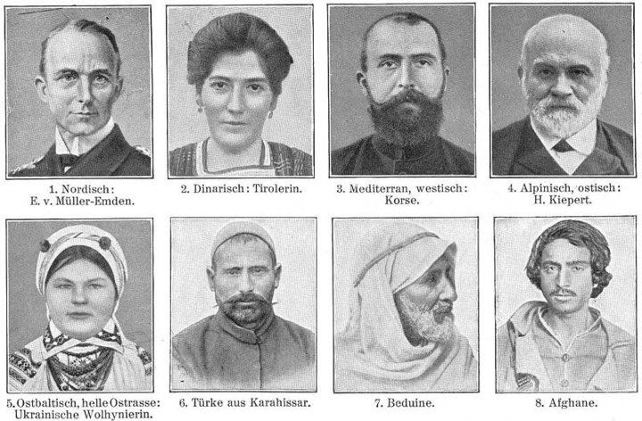 Meyers Blitz-Lexikon (Leipzig, 1932) divides “Europäid” types into: Nordic race, Dinaric race, Mediterranean race, Alpine race, East Baltic race, Turks, Bedouins, and Afghans.