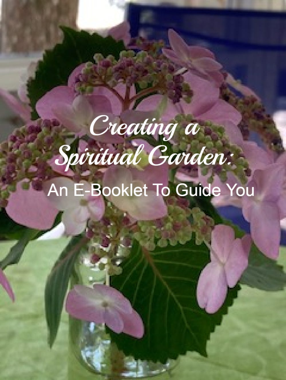 Spiritual Garden 