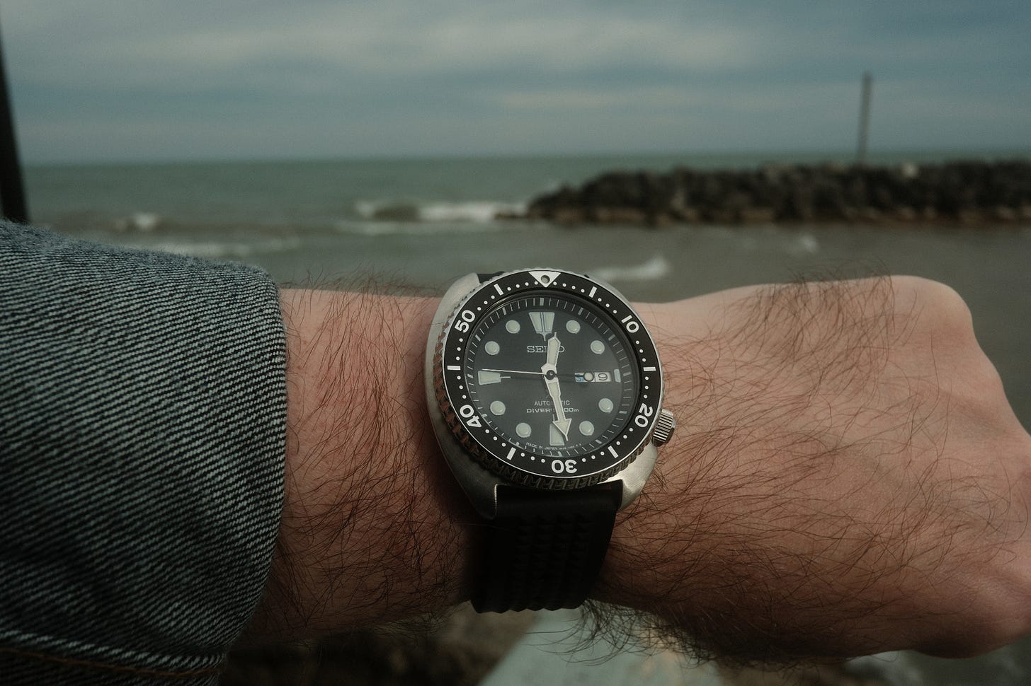 SRPE93 Turtle on a wrist with wave break and lake behind it