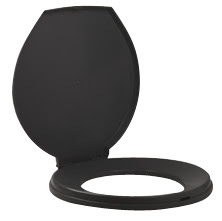 toilet seat and lid