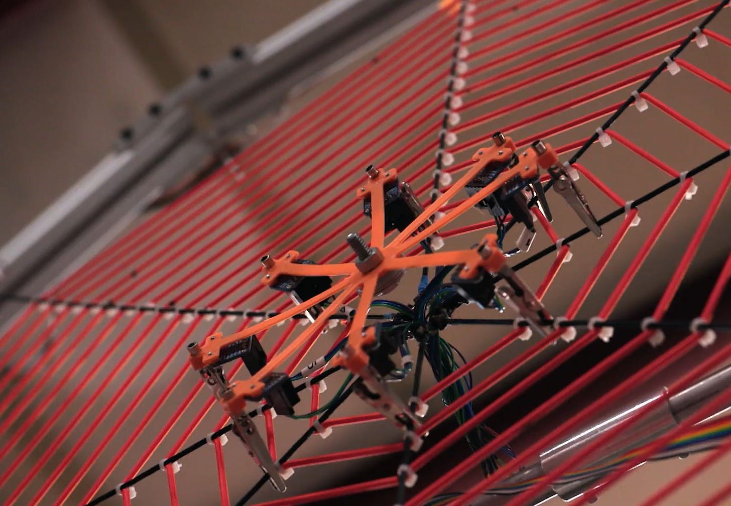 SpiderHarp: Oregon scientists study spiders with a web-inspired musical  instrument - OPB