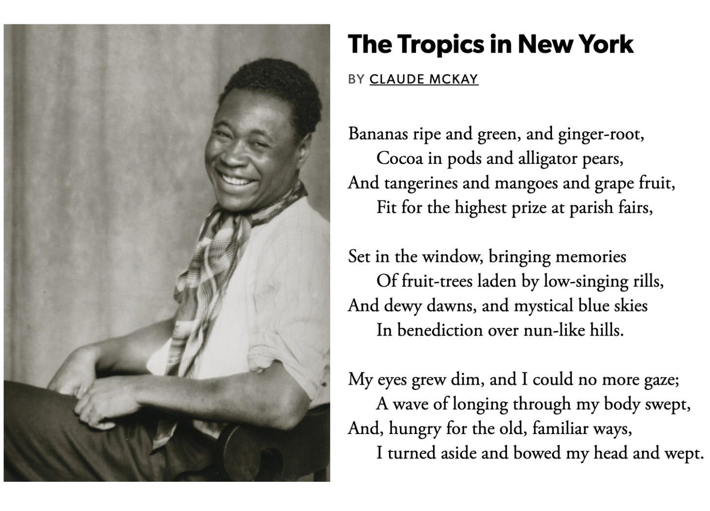 Black and white photo of Claude McKay beside poem, The Tropics in New York (poem written in alt text)  , , that reads: Bananas ripe and green, and ginger-root,       Cocoa in pods and alligator pears, And tangerines and mangoes and grape fruit,       Fit for the highest prize at parish fairs,  Set in the window, bringing memories       Of fruit-trees laden by low-singing rills, And dewy dawns, and mystical blue skies       In benediction over nun-like hills.  My eyes grew dim, and I could no more gaze;       A wave of longing through my body swept, And, hungry for the old, familiar ways,       I turned aside and bowed my head and wept.