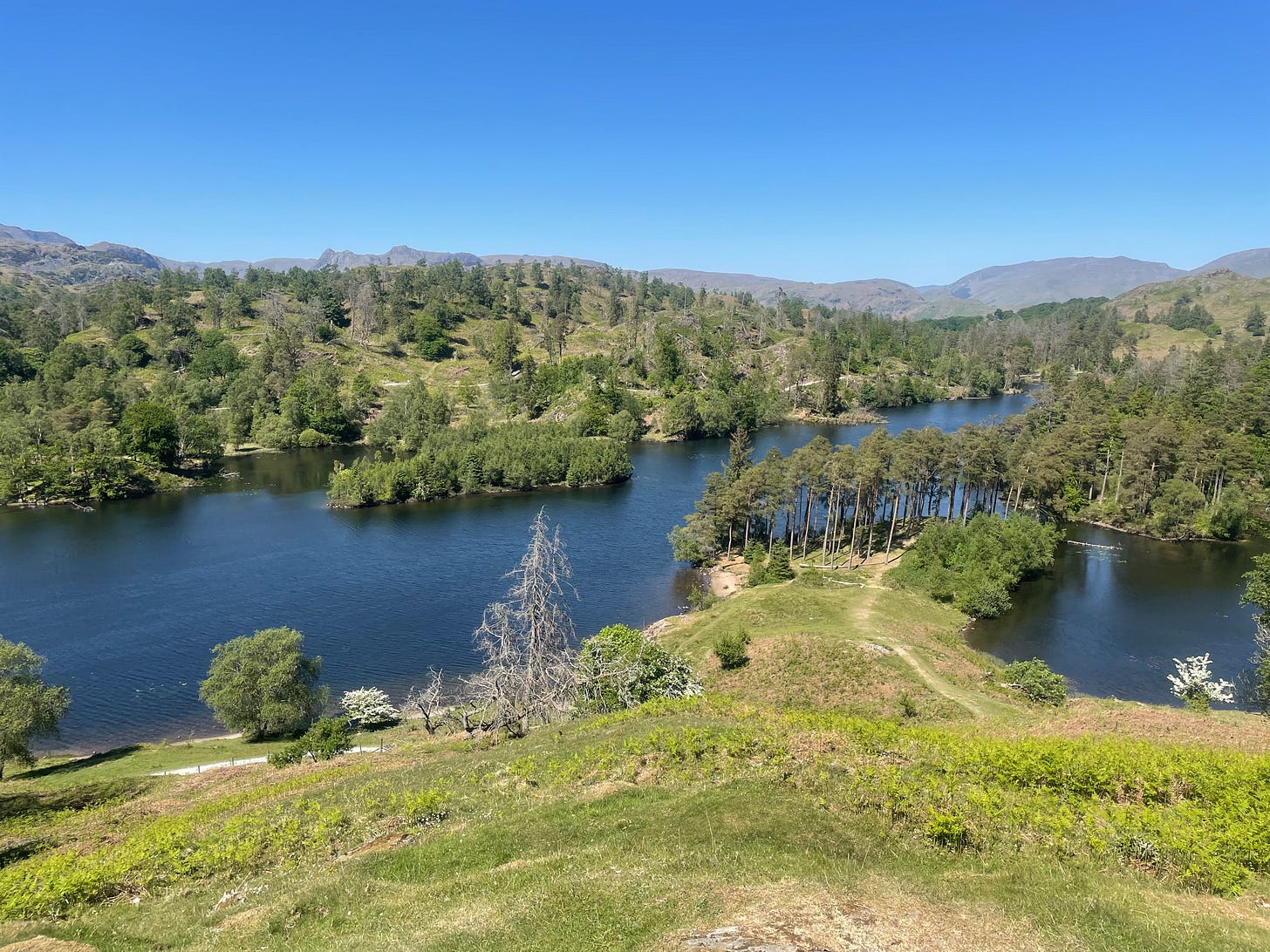 A view of a lake surrounded by trees on a beautiful warm day