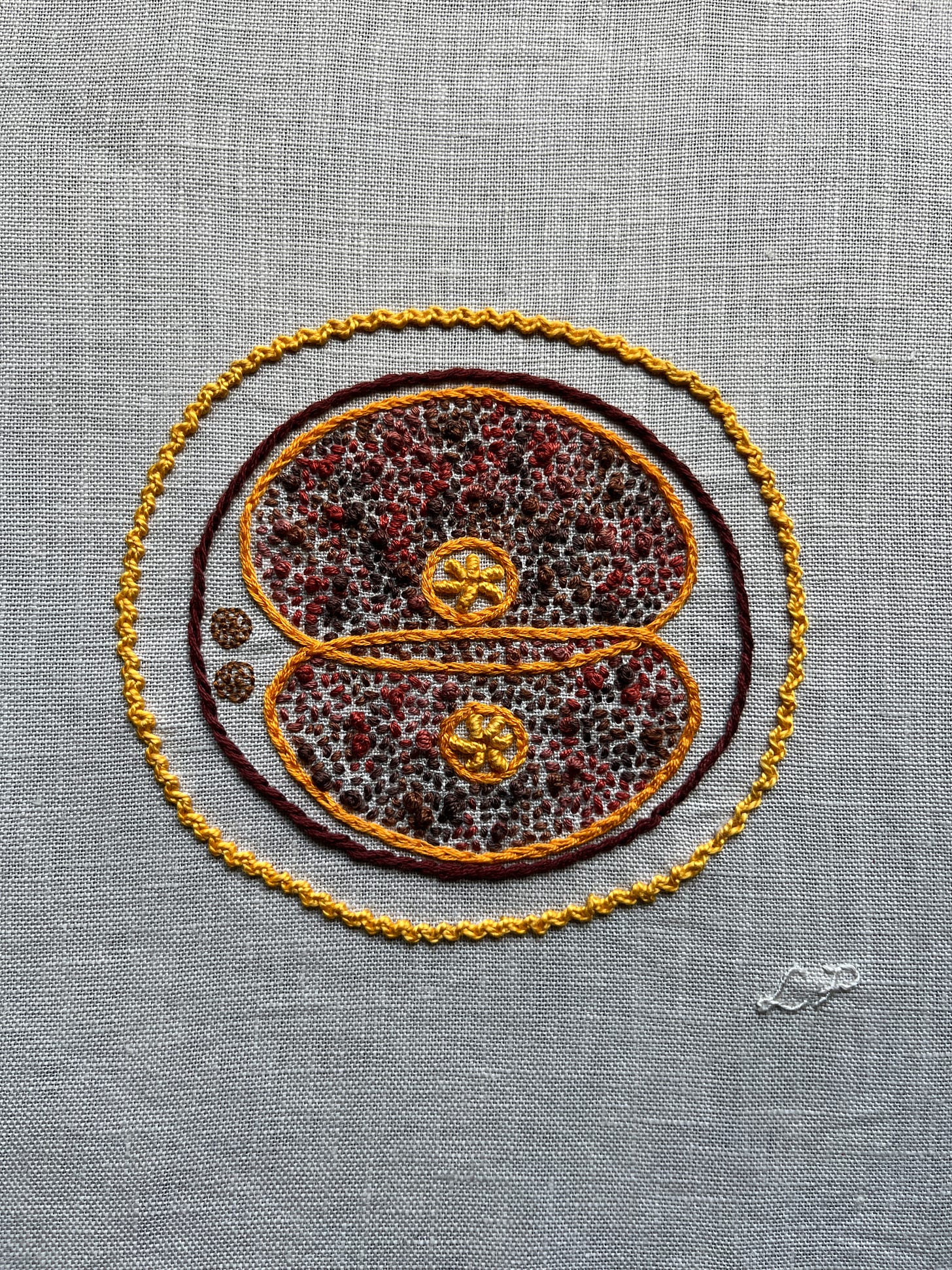 Two cells dividing embroidered on off white linen. A circle of brown stem stitch is the cell membrane, the corona radiata is in bright orangey yellow zig zag chain stitch. The edges of the dividing cells are in bright orange split stitch. The nucleolus of each cell is in bright yellow bullion stitch. The cytoplasm is stitched in variegated orange/brown thread in a mix of seed stitch and French knots. Some guide lines and Lia’s initials are marked in blue and stitched in off white whipped back stitch.