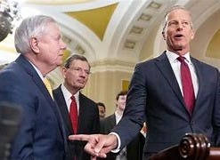 Image result for photo, thune, graham