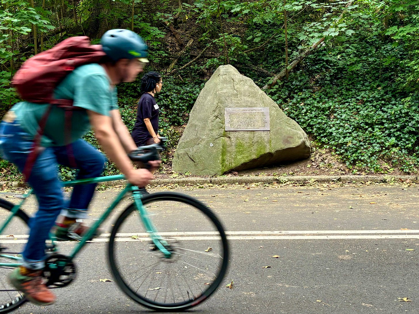 A large rock with a plaque embedded in it at the edge of a path in Prospect Park. A man in a teal tee shirt, jeans, and dark teal helmet appears blurry as he rides by on his bike. A woman with her hair braided walks by, turned to face the marker as she passes.