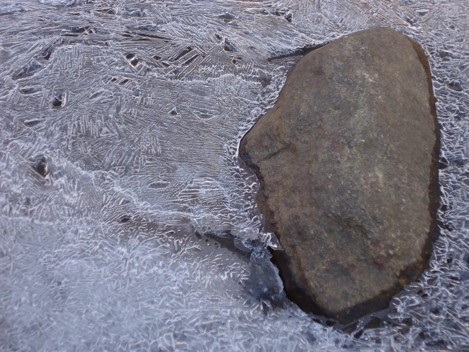 Looking at an air gap between the still-running brook and the ice that formed on top. 