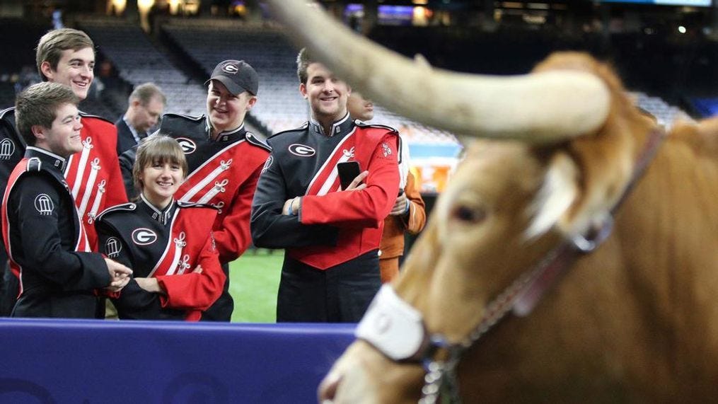 UT's mascot Bevo charges Georgia's bulldog Uga in viral video