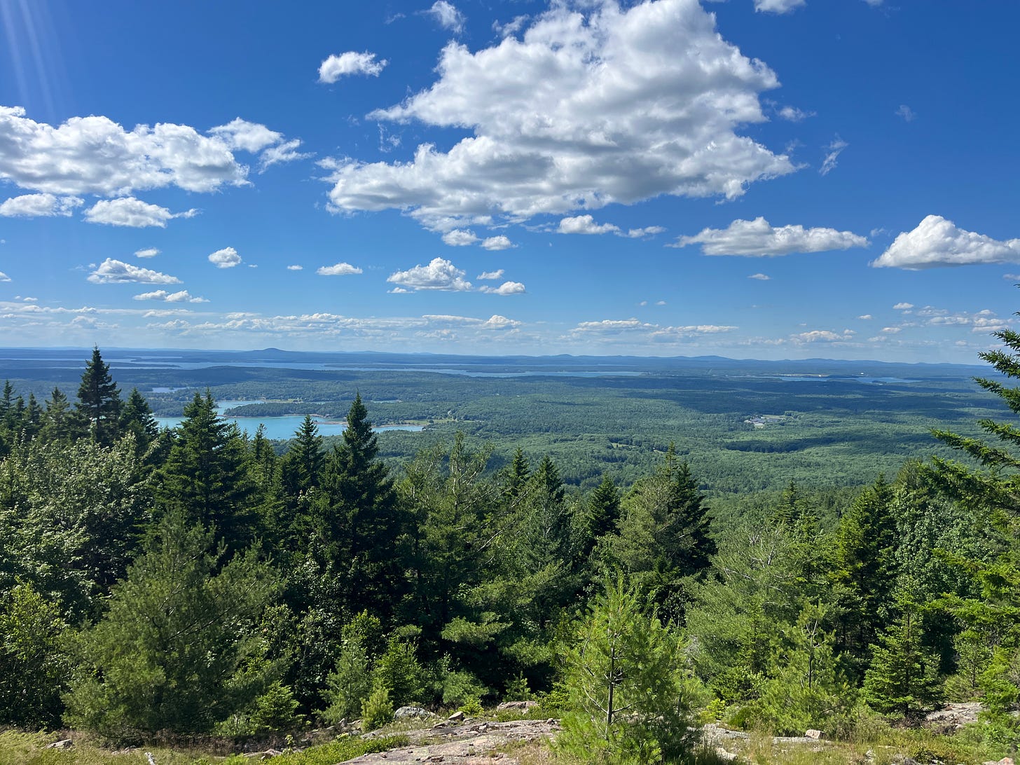 Fluffy clouds over a blue sky and green trees to the horizon.