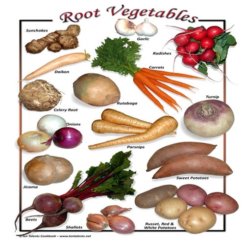 root vegetables 