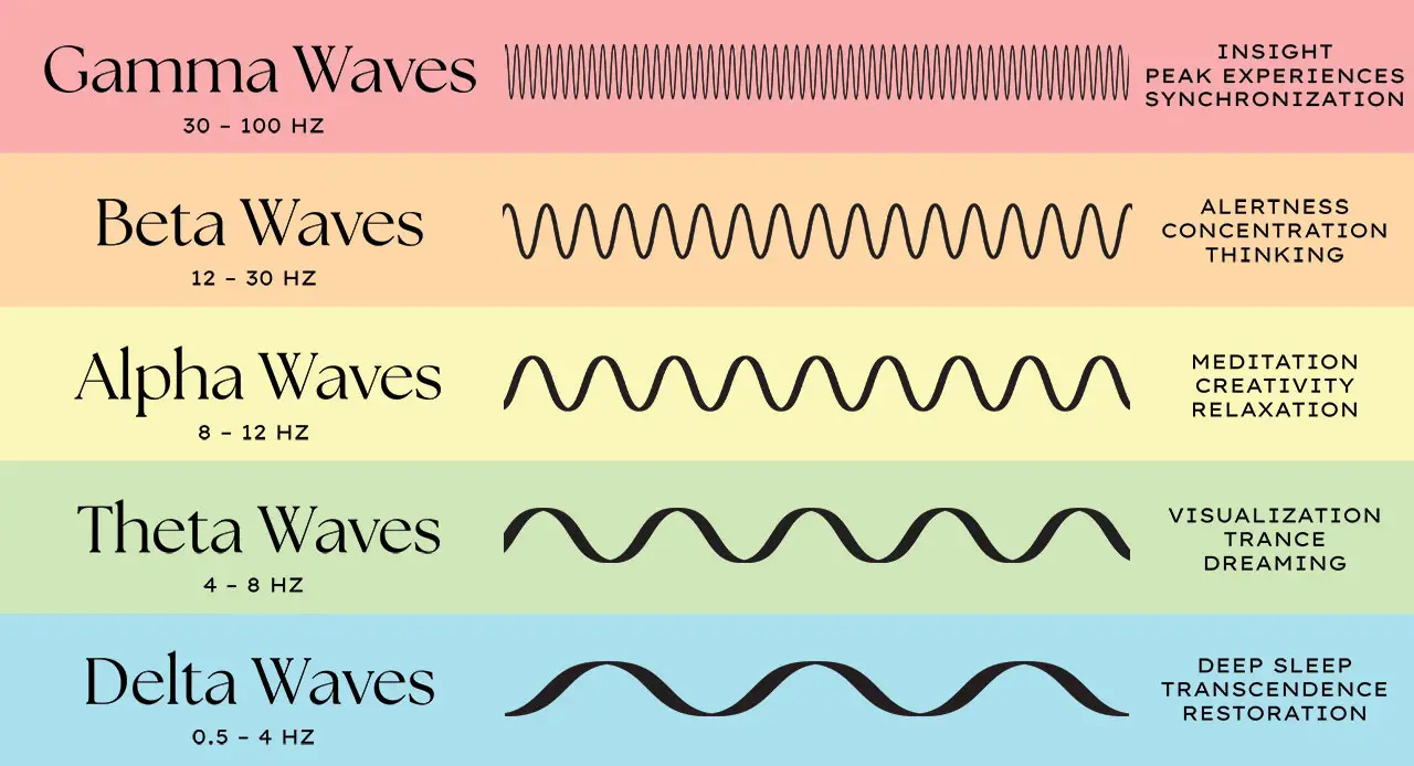 Understanding Brain Waves: Beta, Alpha, Theta, Delta + Gamma