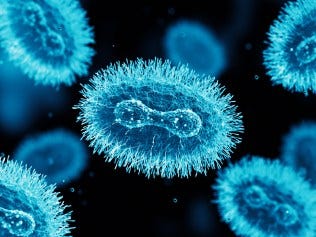 Monkeypox Virus. 3D Render Monkeypox Virus. 3D Render