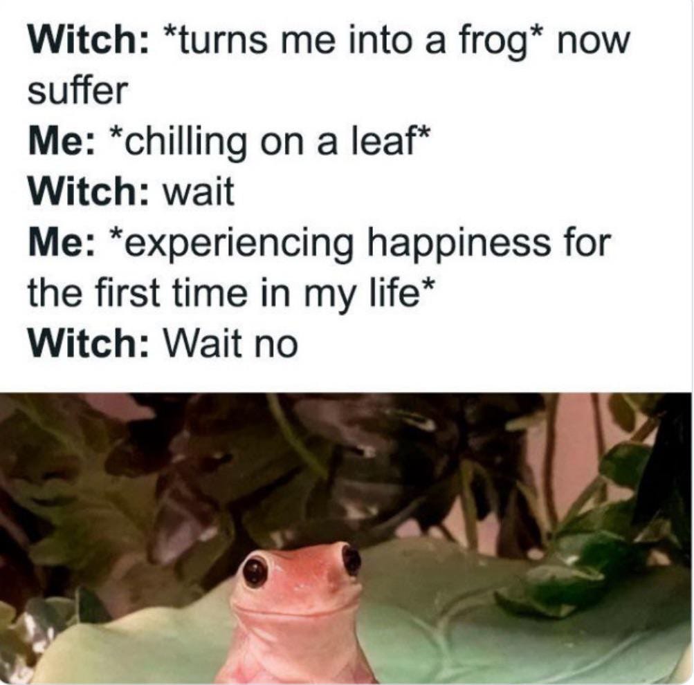 Witch: *turns me into a frog* now
suffer

Me: *chilling on a leaf*

Witch: wait

Me: *experiencing happiness for
the first time in my life*

Witch: Wait no