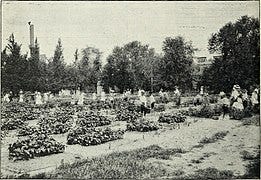 File:Horticultural exhibitions and garden competitions (1919) (14772580935).jpg