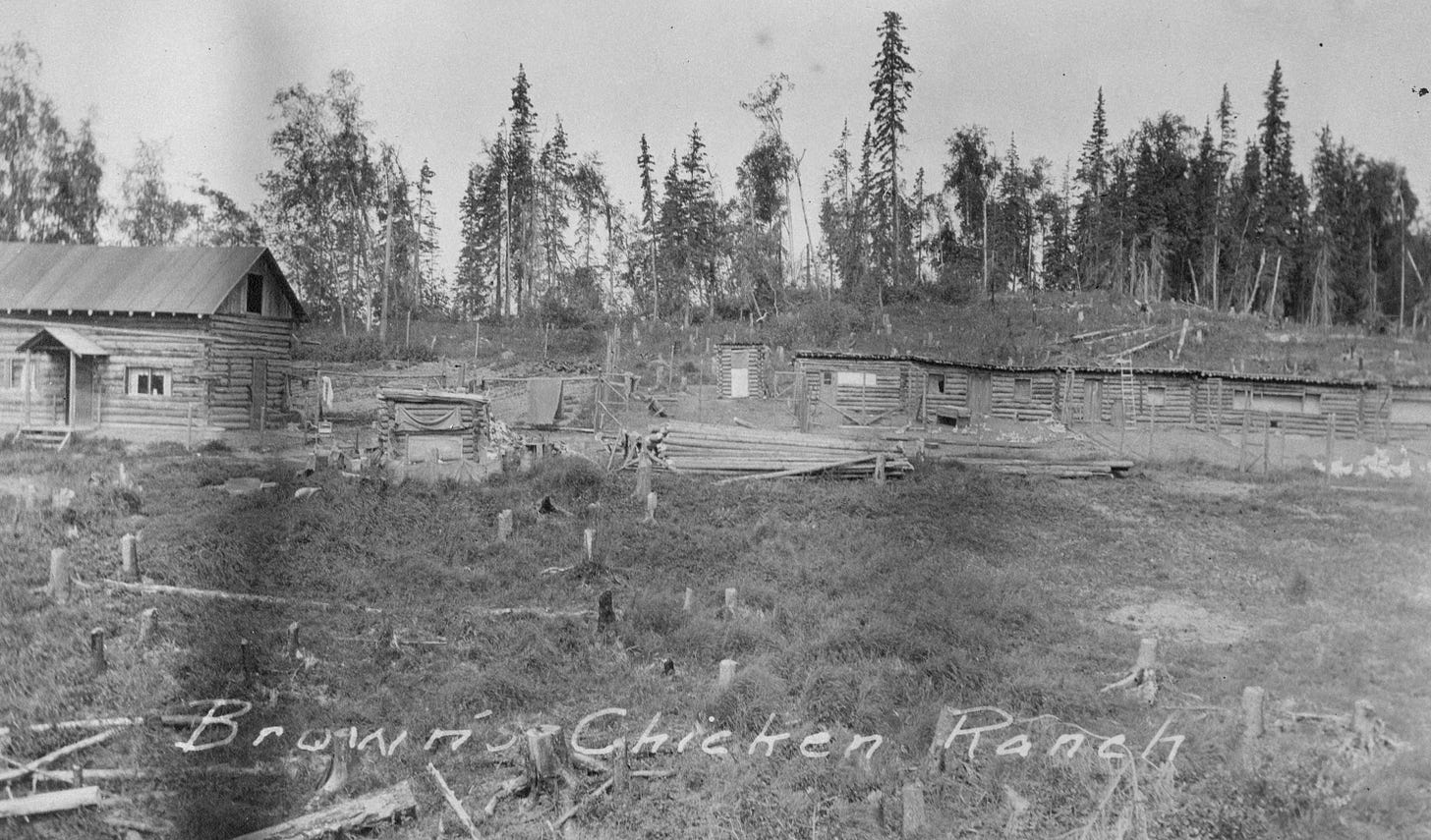 Jack and Nellie Brown's chicken ranch in early Anchorage, Alaska.