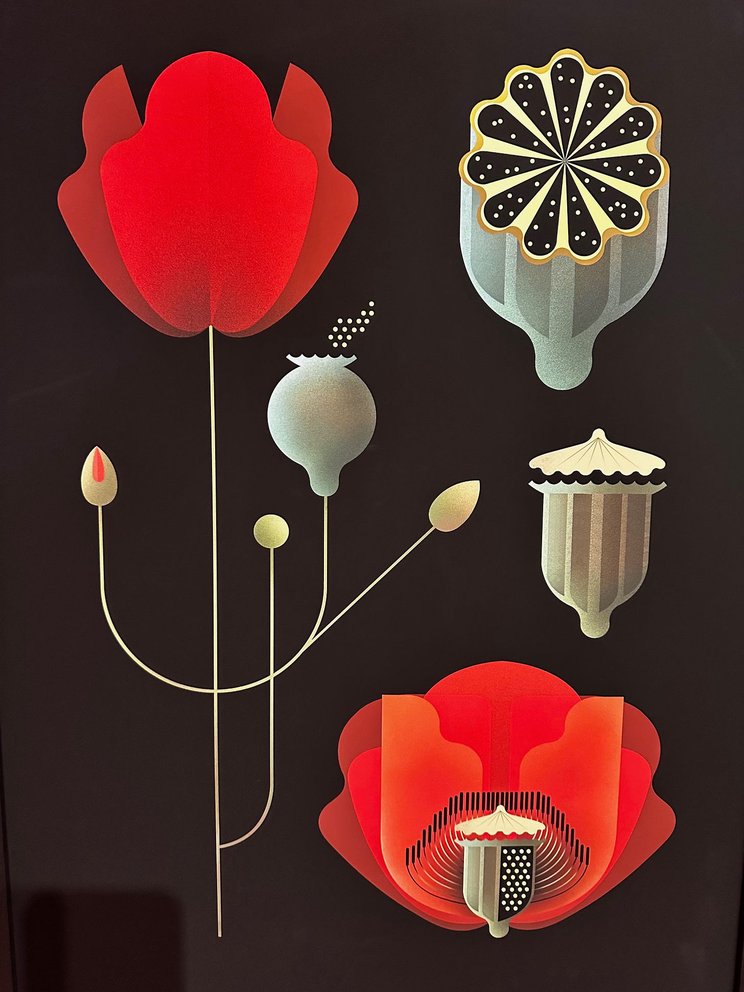 Museu d'Història de Girona - Exposició de Botànica, Girona, Spain