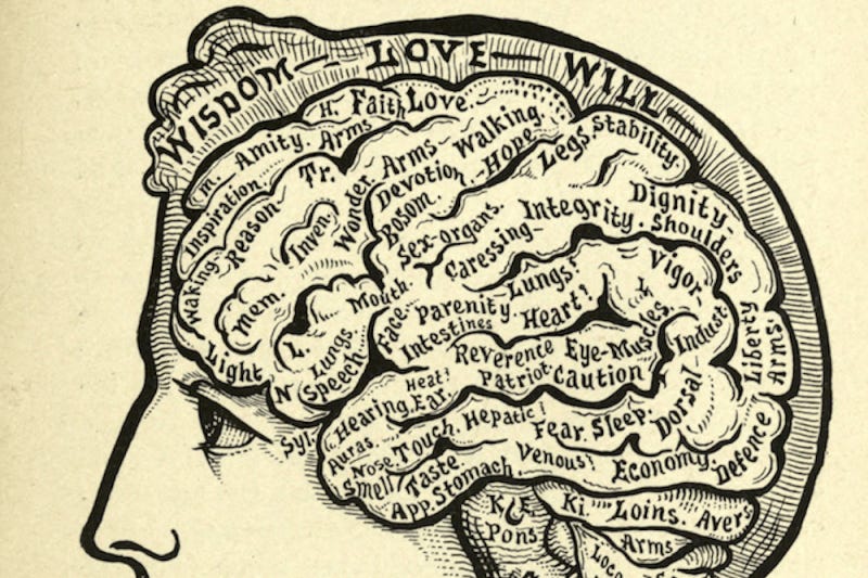 Human consciousness: How and why it evolved? - Genetic Literacy Project