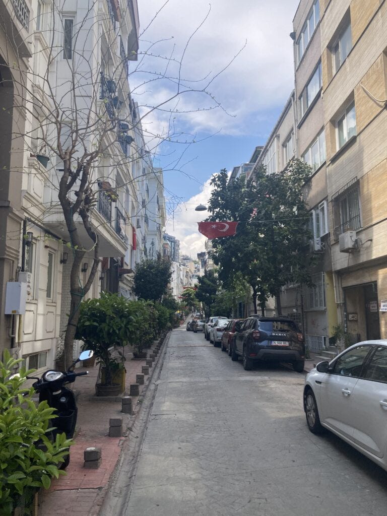 Quiet, tree-lined street in Istanbul with cars parked on right side.