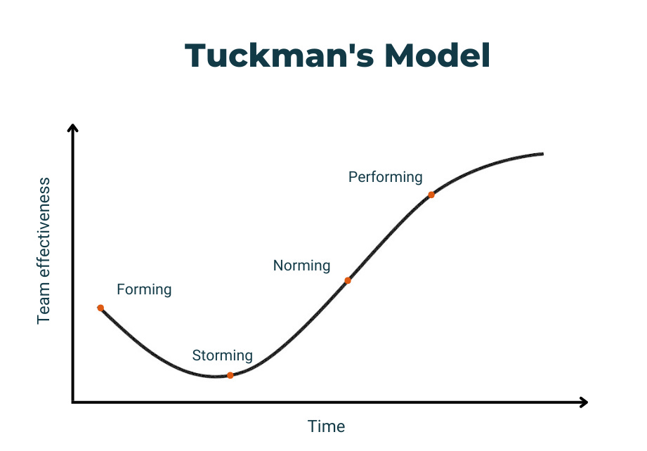 From Forming to Performing: Tuckman's 5 Stages of Team Development Helps  You Build a Stellar Team - School of the Wild