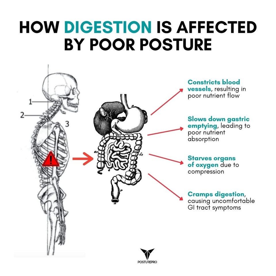May be an image of text that says 'HOW DIGESTION IS AFFECTED BY POOR POSTURE 2- Constricts blood vessels, resulting in poor nutrient flow 3 Slows down gastric emptying, leading to poor nutrient absorption → Starves organs of oxygen due to compression Cramps digestion, causing uncomfortable GI tract symptoms POSTUREPRO'