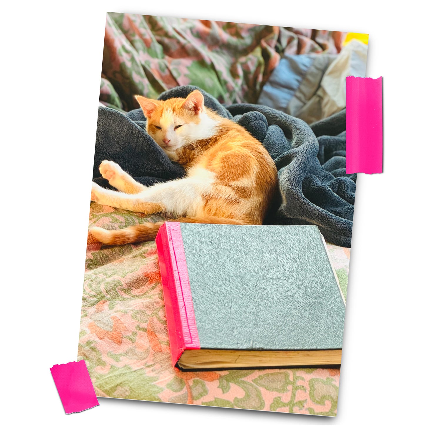 an orange kitten snuggles a dark blue blanket on a floral tapestry nestled next to a sketchbook bound with hot pink tape