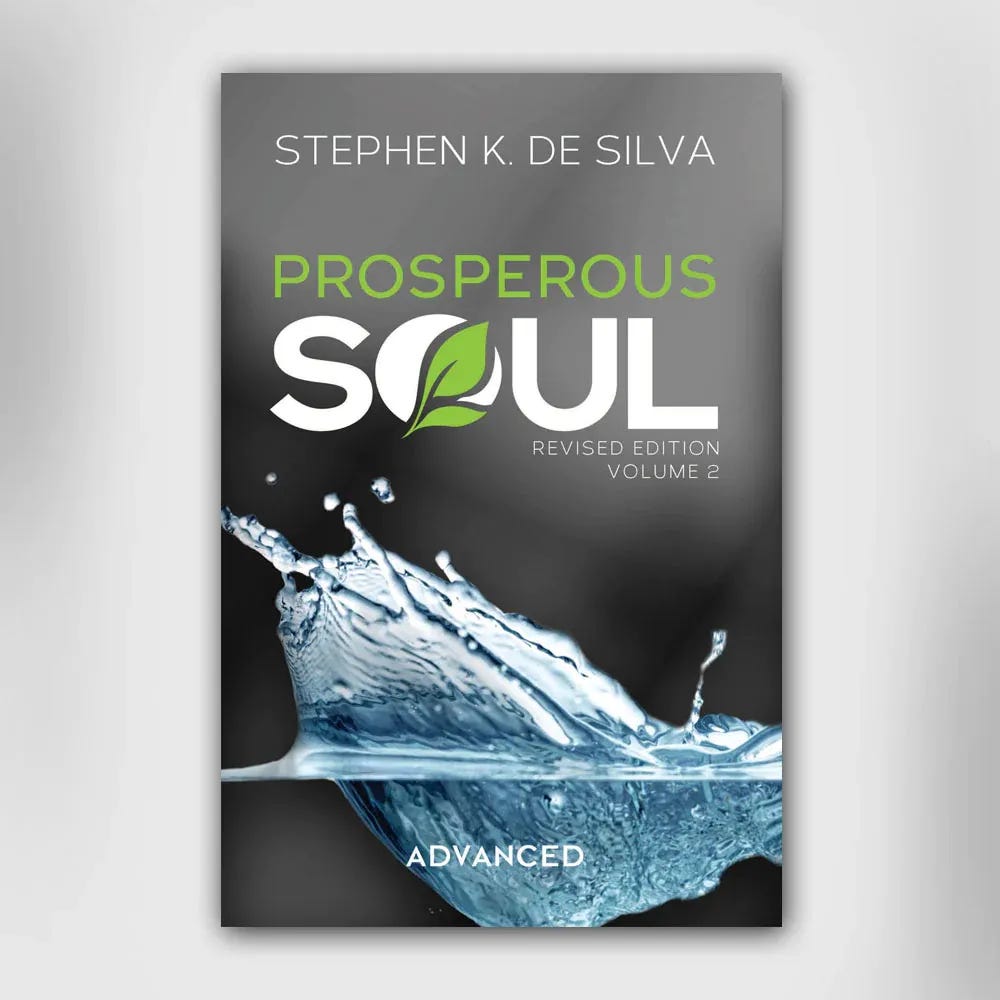 Prosperous Soul Online Advanced Manual Cover