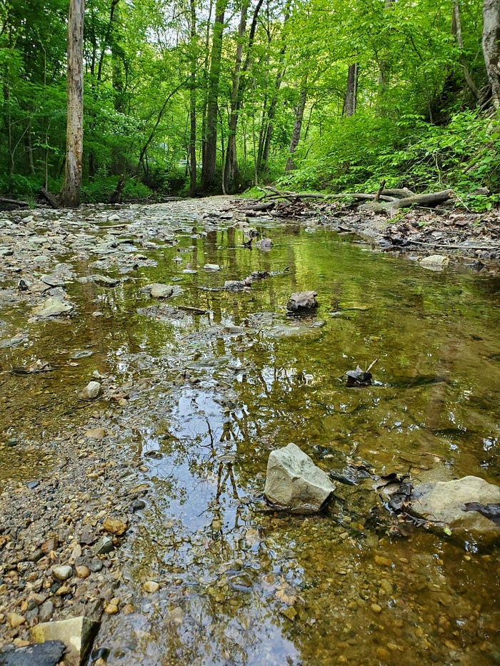A shallow creek at Kissing Falls.