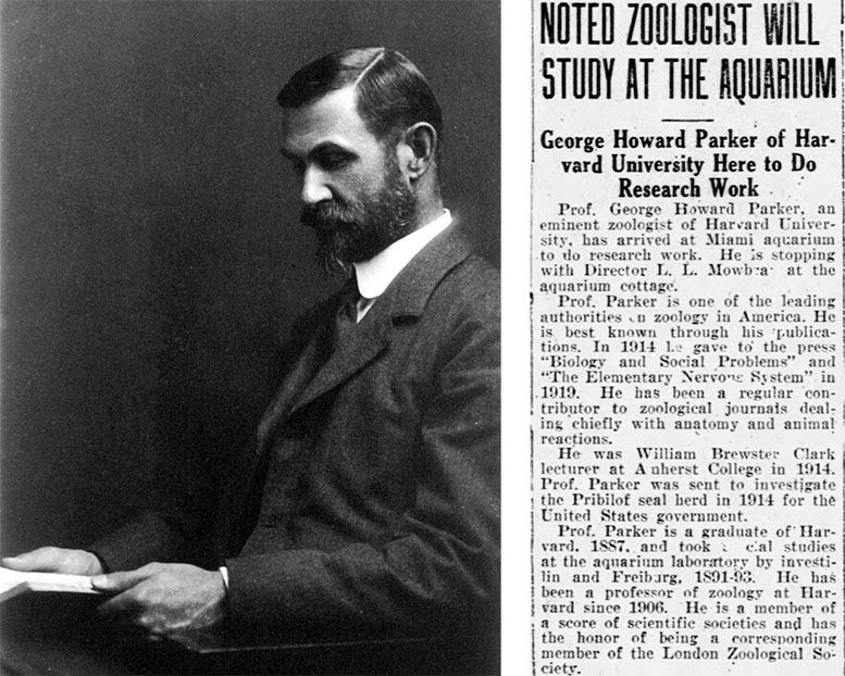 Figure 4: Portrait of George Howard Parker (left), and announcement of his arrival on Miami Beach in 1921.