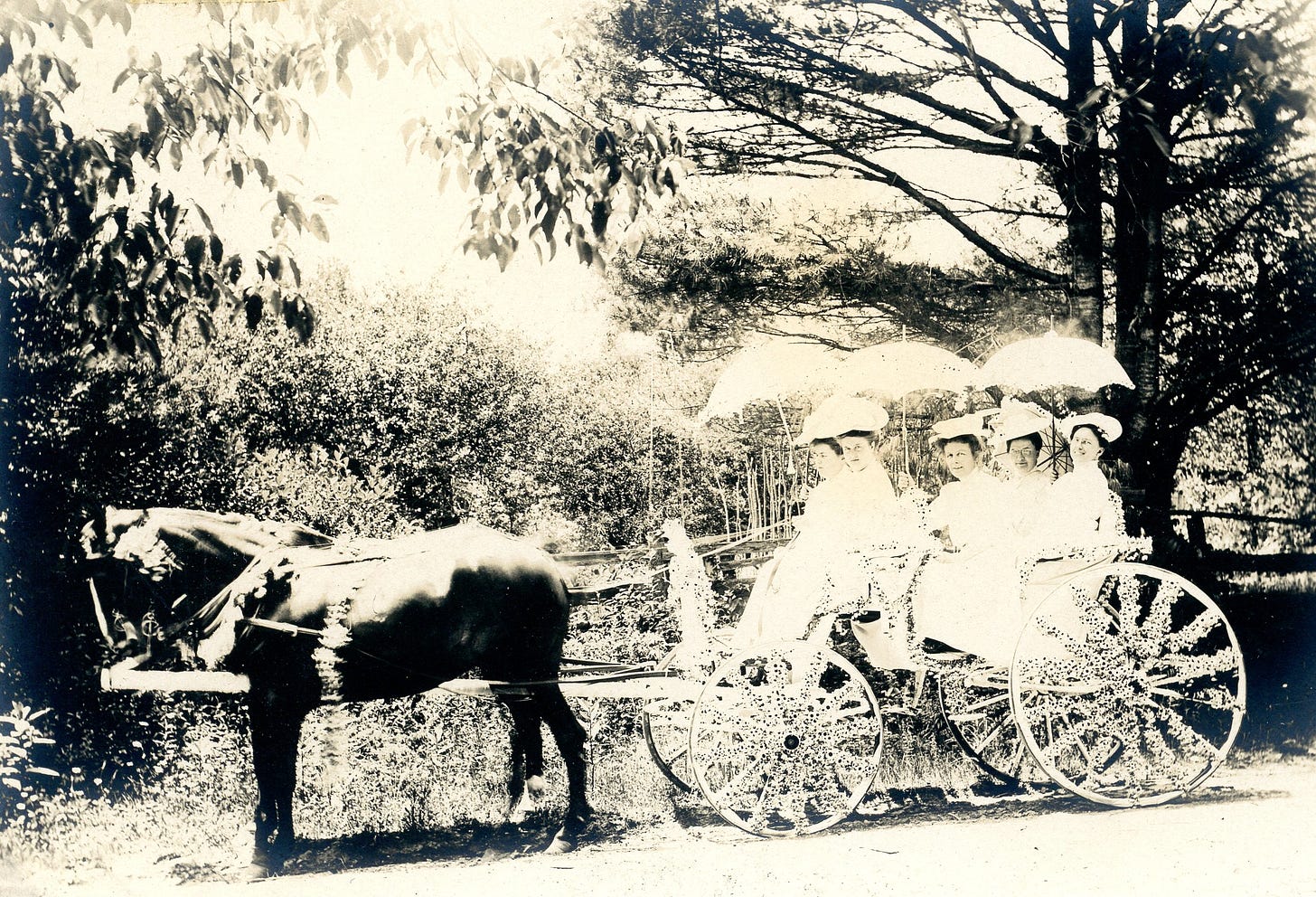 Five women with parasols on horse cart
