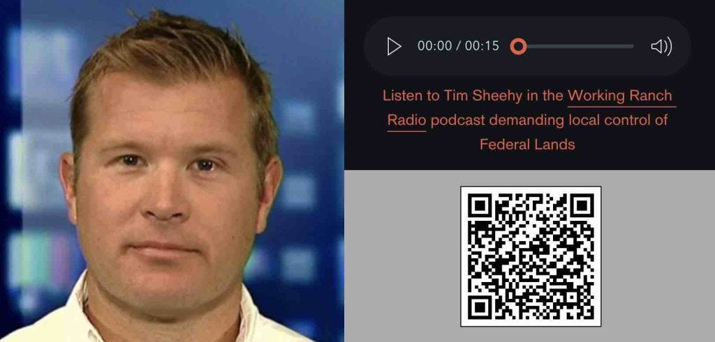 Tim Sheehy audio clip of what he plans with public lands