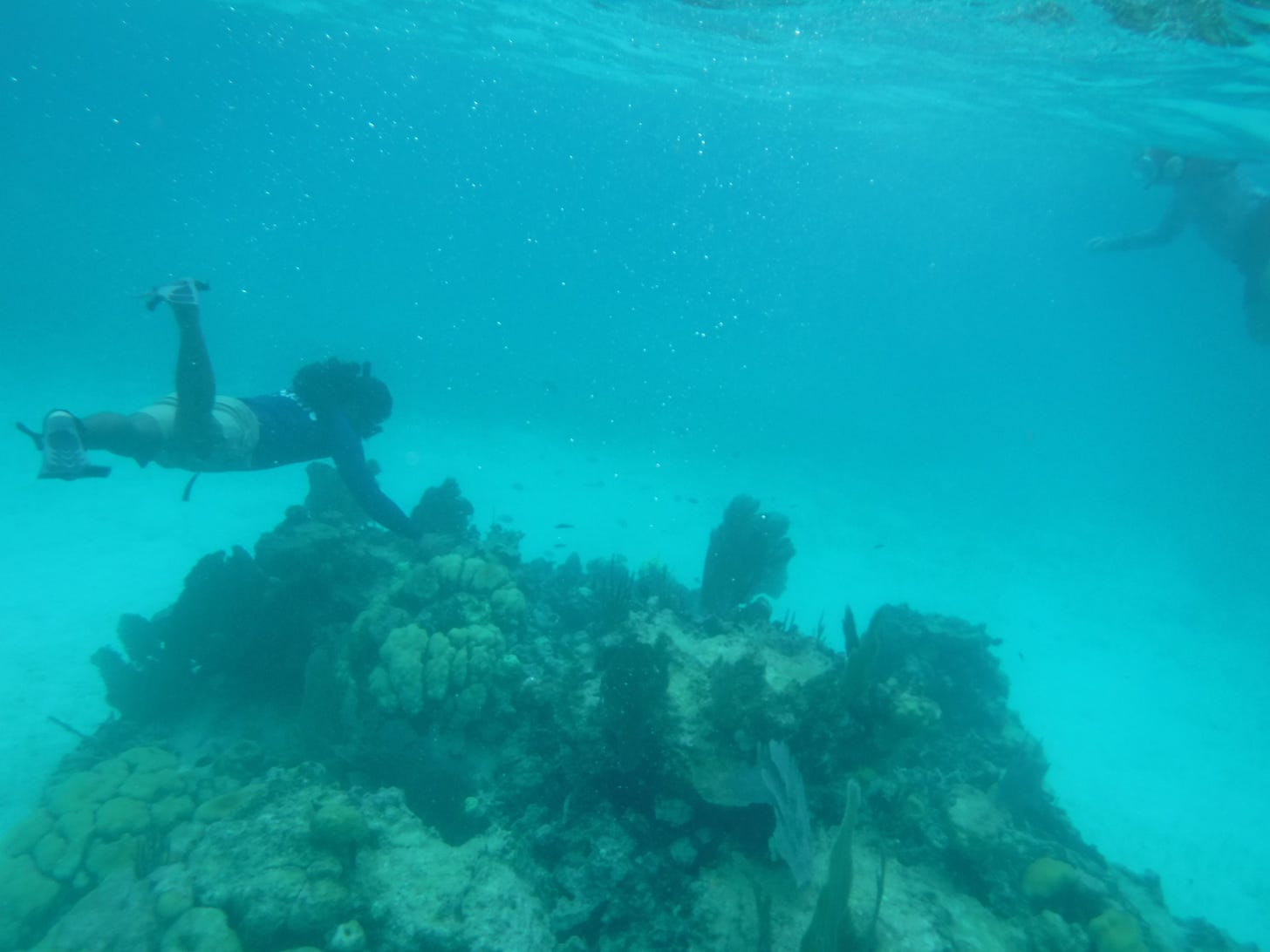 A person snorkeling near coral in Belize